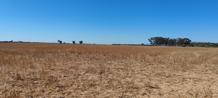 To Let 0 Bedroom Property for Rent in Hopefield Rural Western Cape